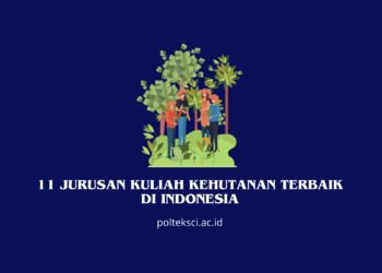 11 Jurusan Kuliah Kehutanan Terbaik di Indonesia