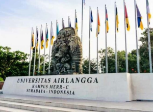 Universitas Airlangga (Unair)