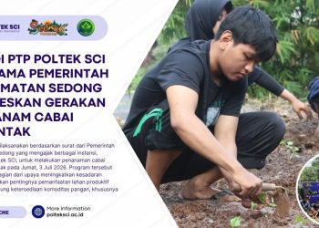 Prodi PTP Poltek SCI Bersama Pemerintah Kecamatan Sedong Laksanakan Gerakan Menanam Cabai Serentak